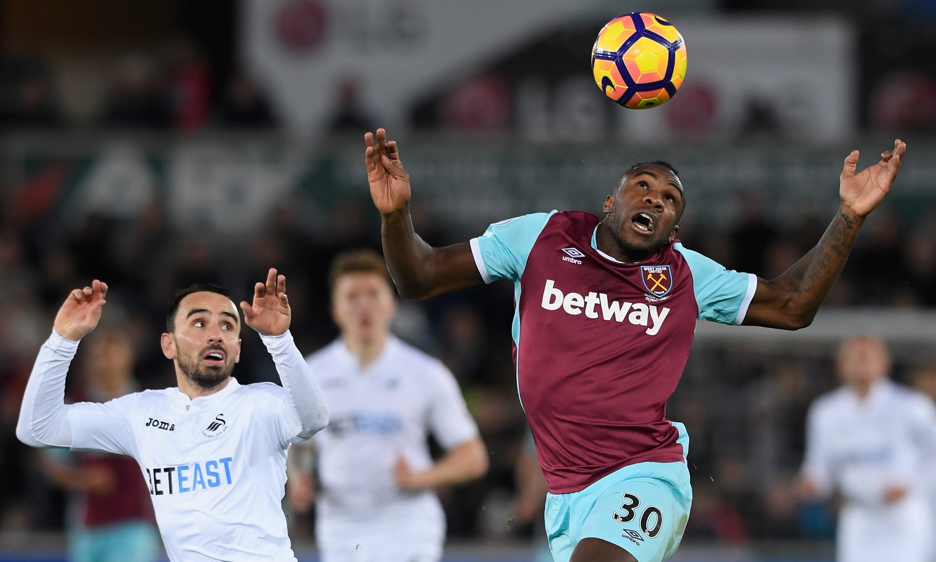 我们或许可 我们或许可